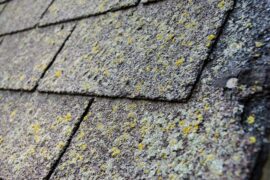Need a New Roof in Dearborn Michigan? Here's How To Tell